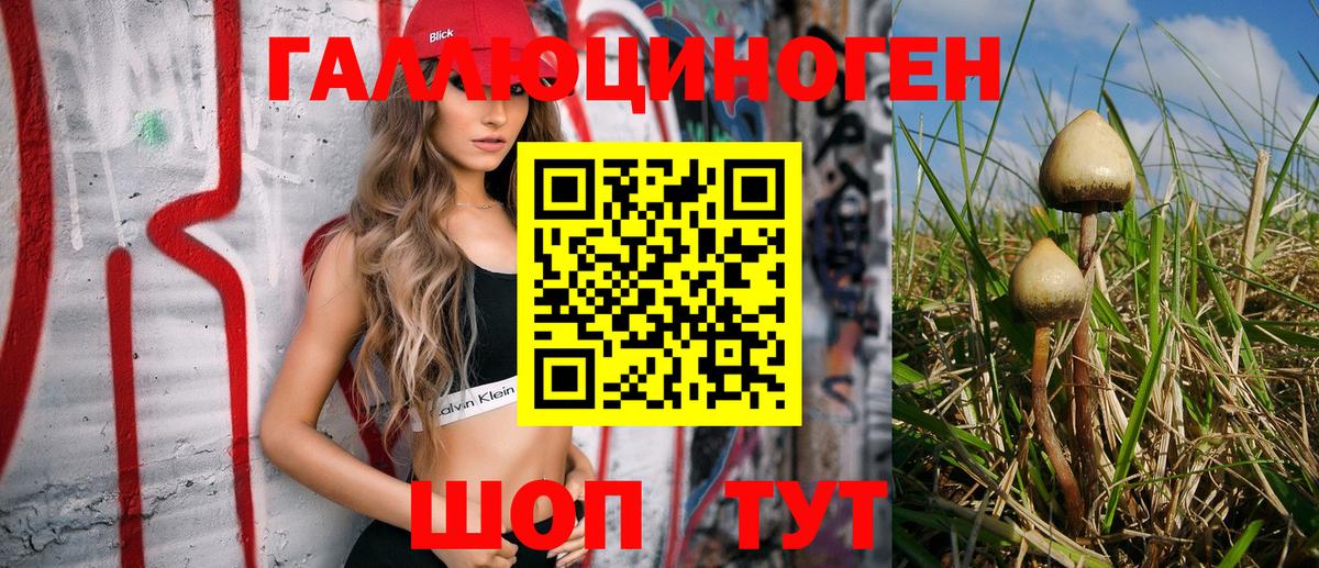 купить   Вход с VPN  Кунгур  Псилоцибиновые грибы Cubensis  Псилоцибиновые грибы мухоморы 