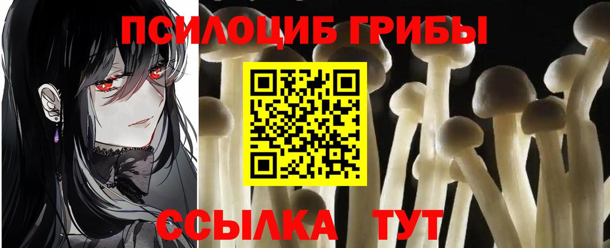 Псилоцибиновые грибы прущие грибы Кунгур